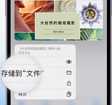 海棠apple维修中心分享iPhone文件应用中存储和找到下载文件