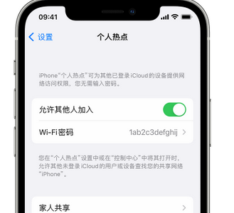 海棠apple服务站点分享iPhone上个人热点丢失了怎么办 