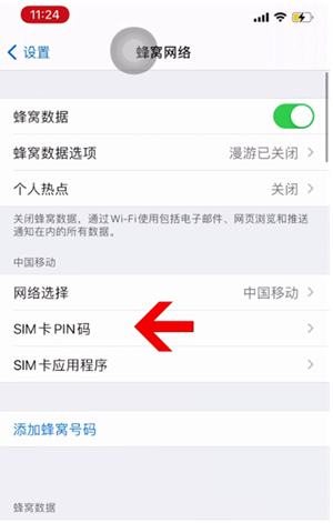 海棠苹果14维修网分享如何给iPhone14的SIM卡设置密码 