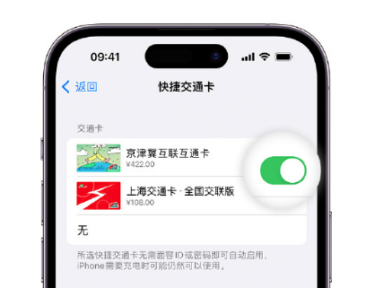 海棠apple维修点分享iPhone上更换Apple Pay快捷交通卡手绘卡面 