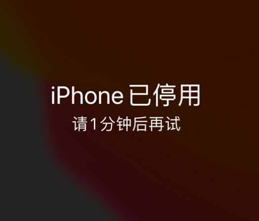 海棠苹果手机维修分享:iPhone 显示“不可用”或“已停用”怎么办？还能保留数据吗？ 