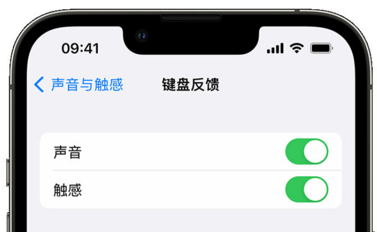 海棠苹果手机维修分享iPhone 14触感键盘使用方法 