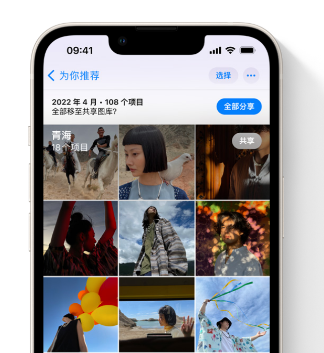 海棠苹果维修网点分享在 iPhone 上使用共享图库 