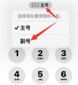 海棠苹果14维修店分享iPhone 14 Pro Max使用副卡打电话的方法 