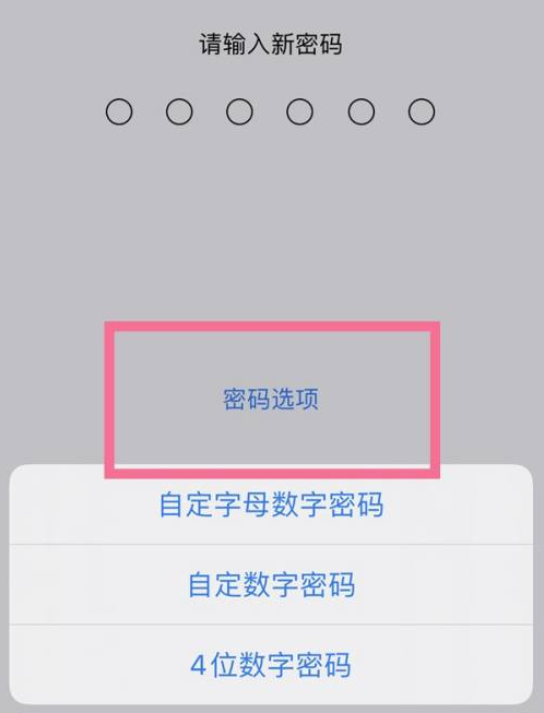 海棠苹果14维修分享iPhone 14plus设置密码的方法 