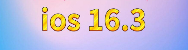 海棠苹果服务网点分享苹果iOS16.3升级反馈汇总 