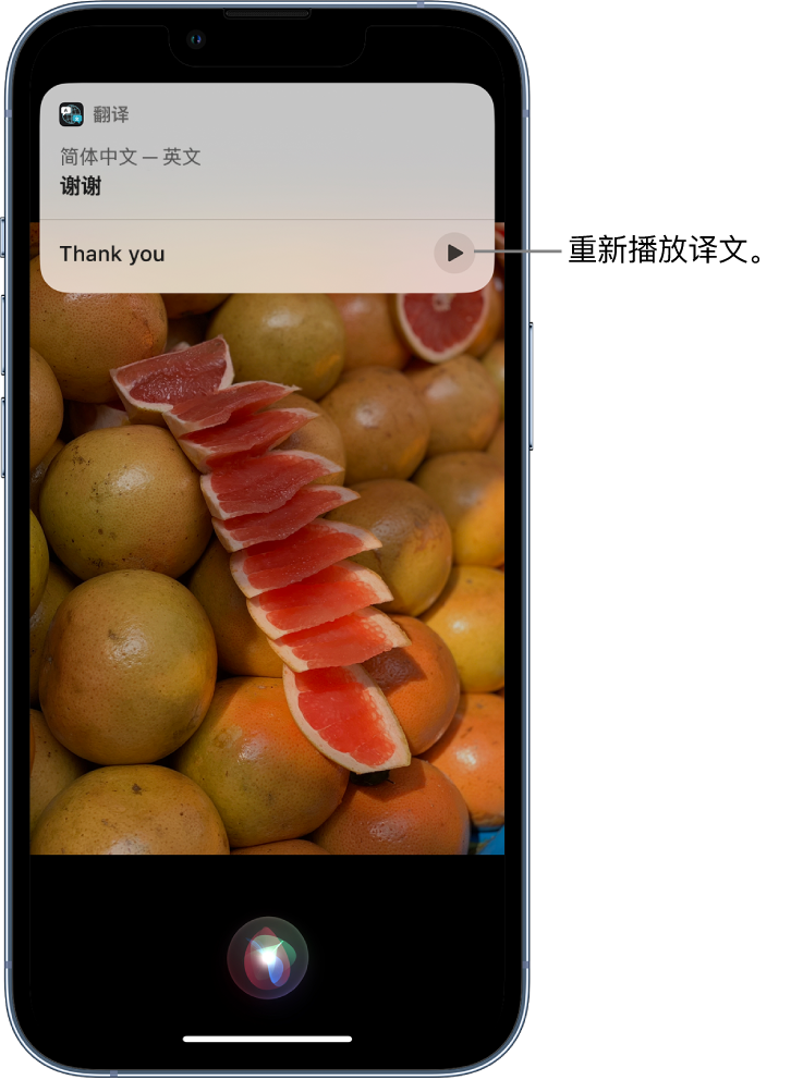 海棠苹果14维修分享 iPhone 14 机型中使用 Siri：了解 Siri 能帮你做什么 