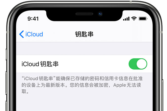 海棠苹果手机维修分享在 iPhone 上开启 iCloud 钥匙串之后会储存哪些信息 