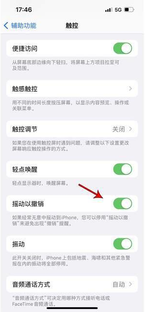 海棠苹果手机维修分享iPhone手机如何设置摇一摇删除文字 