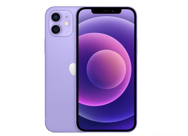 海棠苹果手机维修分享现阶段要不要入手紫色版iPhone12 