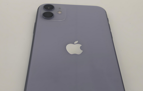 海棠苹果11系统维修分享iPhone11手机系统崩溃无法开机如何解决 